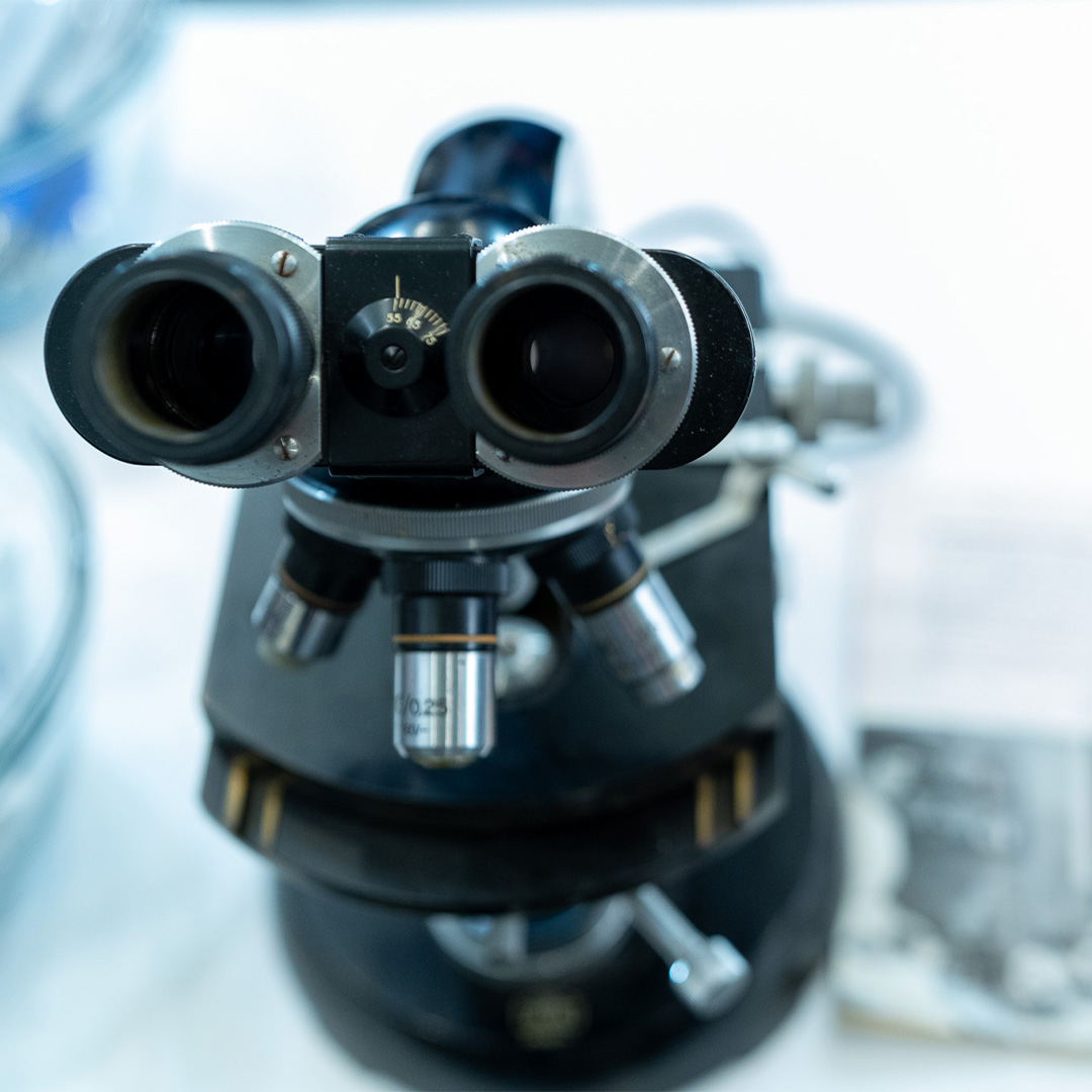 ZEISS_Group's tweet image. Empowering women means amplifying voices, fostering communication, and strengthening leadership. ZEISS is proud to support the Massachusetts Conference for Women, the largest conference in the United States dedicated to women's professional development. #ZEISS #WomenInSTEM