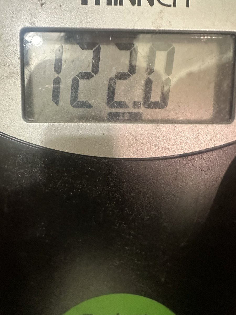 dottie ⋆˚꩜｡ tweet media