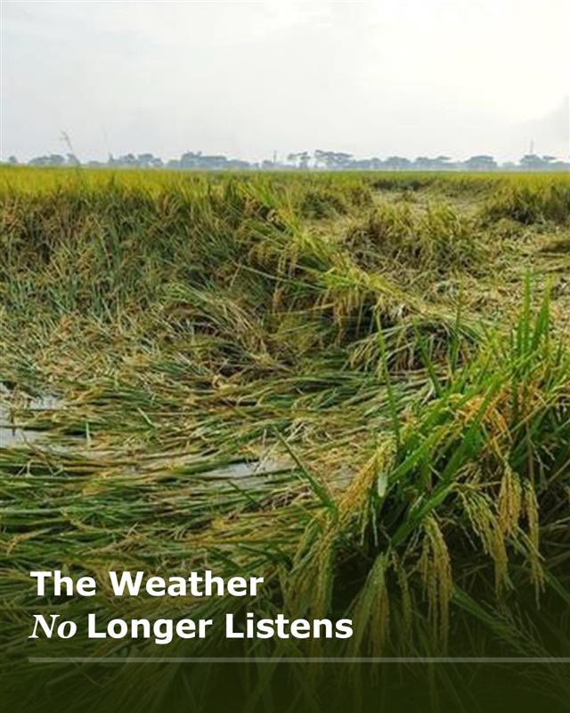 Our research on farmers at the frontline of climate change is now published in the Agriculture Sustainability &amp; Security e-Journal on SSRN—a proud first for WGKI! Congrats to all authors!
🔗 papers.ssrn.com/sol3/papers.cf…