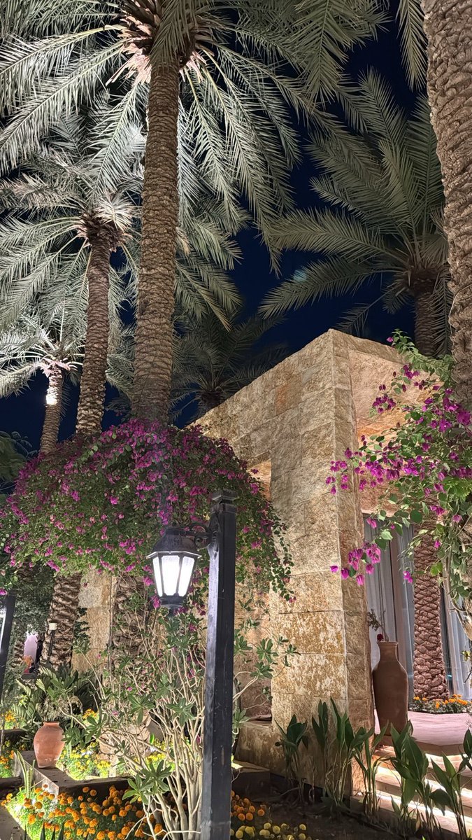 القصيم تفوز بأجمل مزرعة شتوية هالسنه 🌴🤩