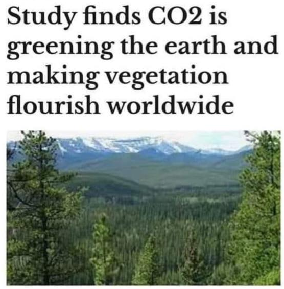 SlowButABro's tweet image. Why do you hate the idea of a green earth? Farmers literally pump CO2 into greenhouses to increase growth.