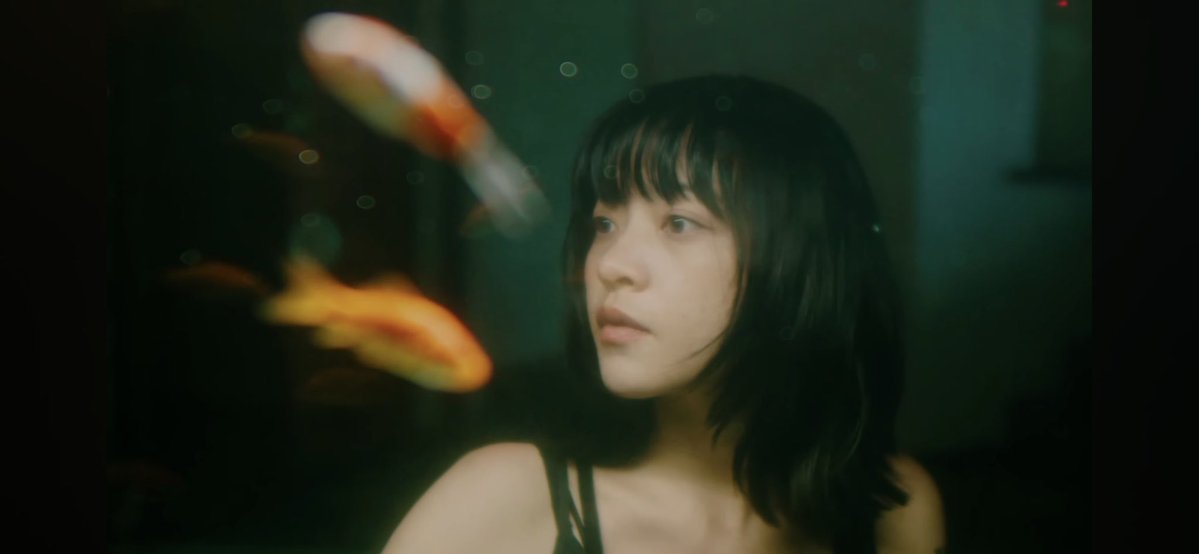 Hammer Head Shark (@h_h_s_band) / Posts / X