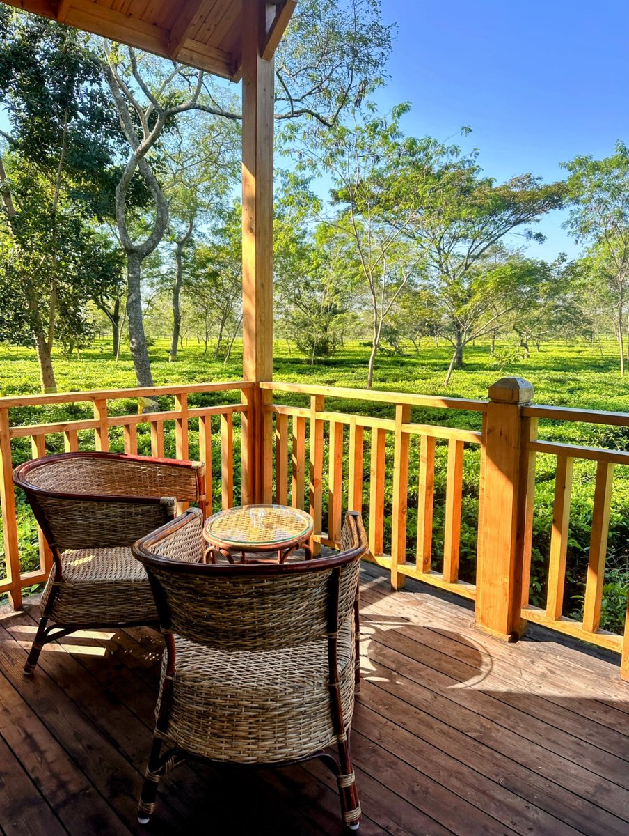 The Gallivanter's Guide tweet media