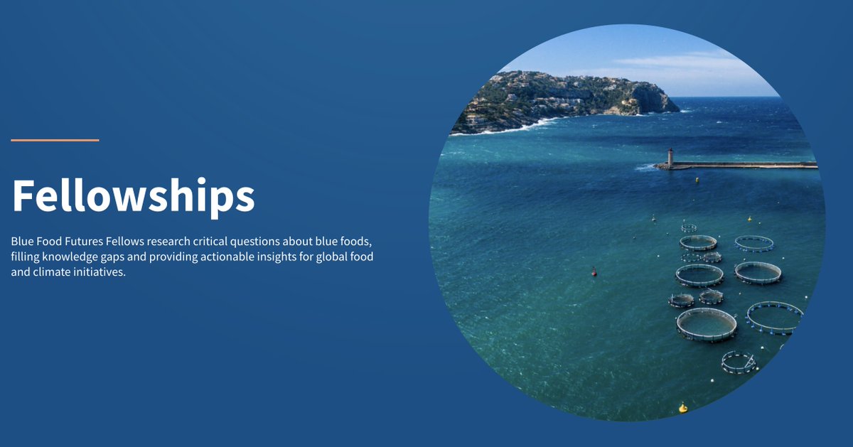 Transformations Community tweet media