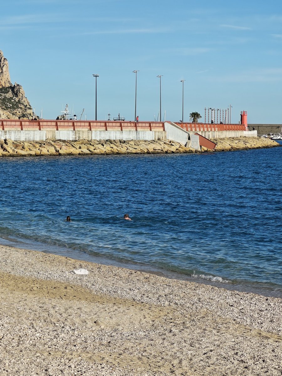 Victor 🇪🇸 (@firebird_) on Twitter photo 