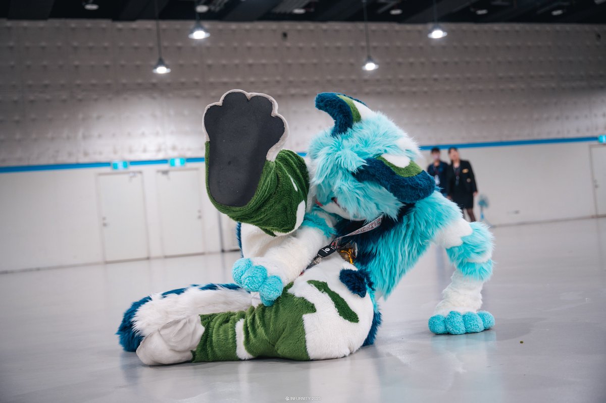 such a lovely and clean kitty
#Aosa