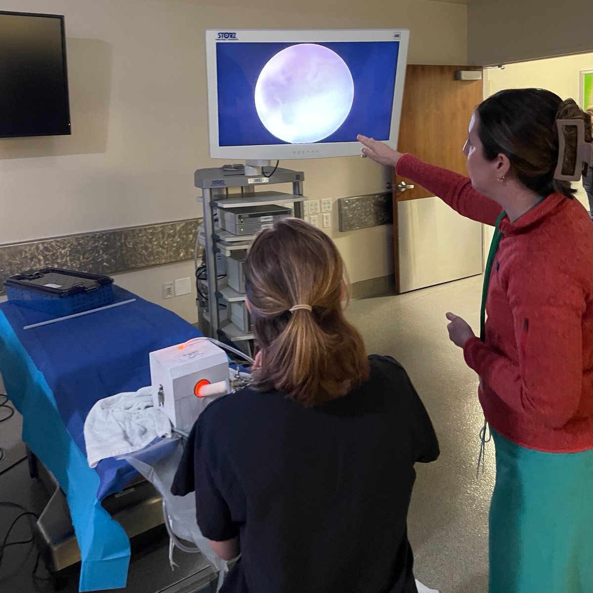 Boston Scientific Urology tweet media