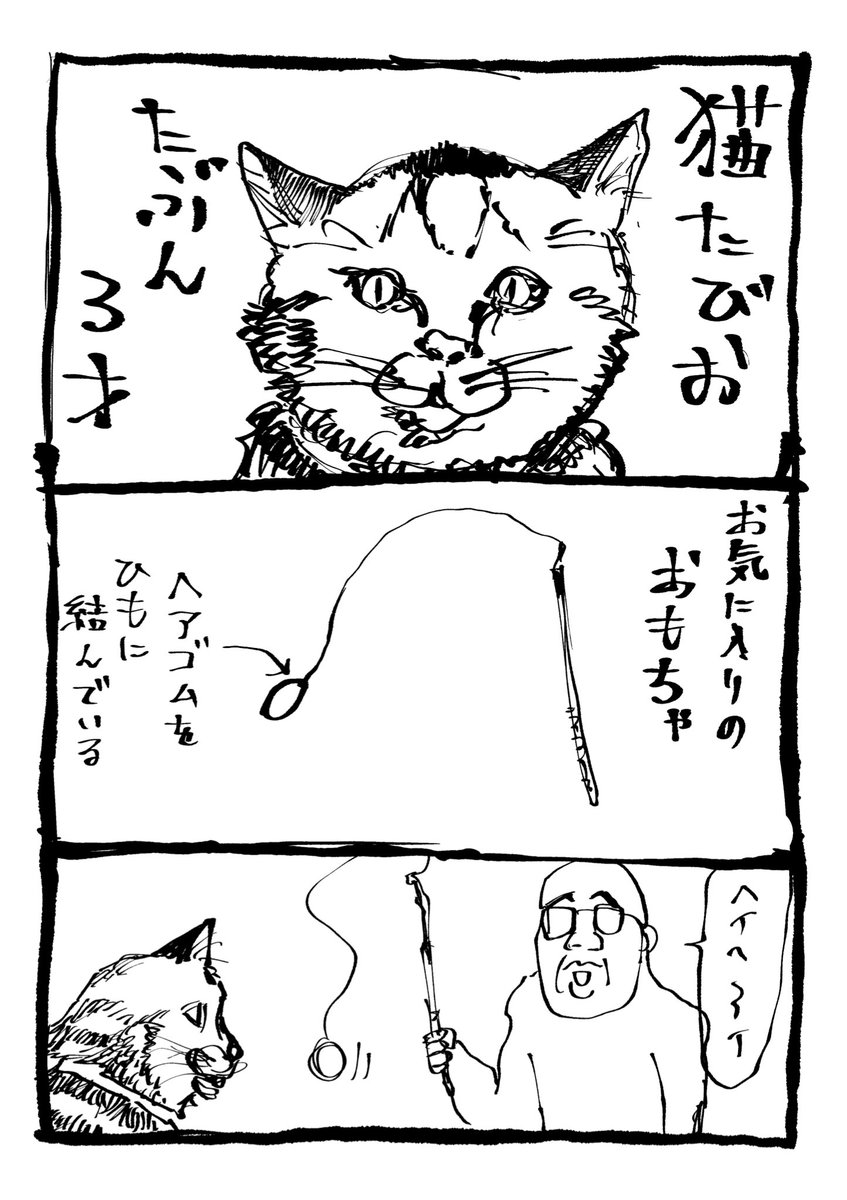 猫の表情変化おもろ 