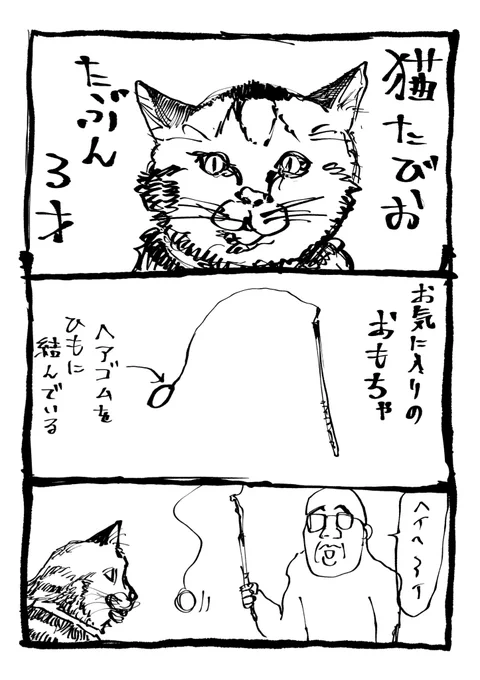猫の表情変化おもろ 