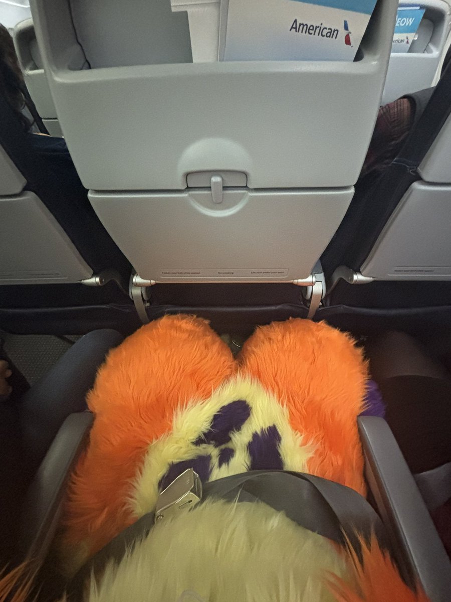 PROTON!! tweet media