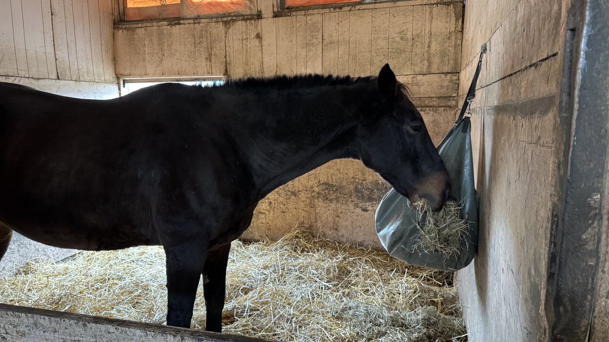 蒼馬 (@SOUMA_FD3S) / Posts / X