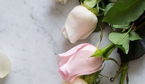 #ذكر_الله_اكبر
#دعاء 

          اللهم نوراً ممتد منك يضيء ايامي ،،🤍

.