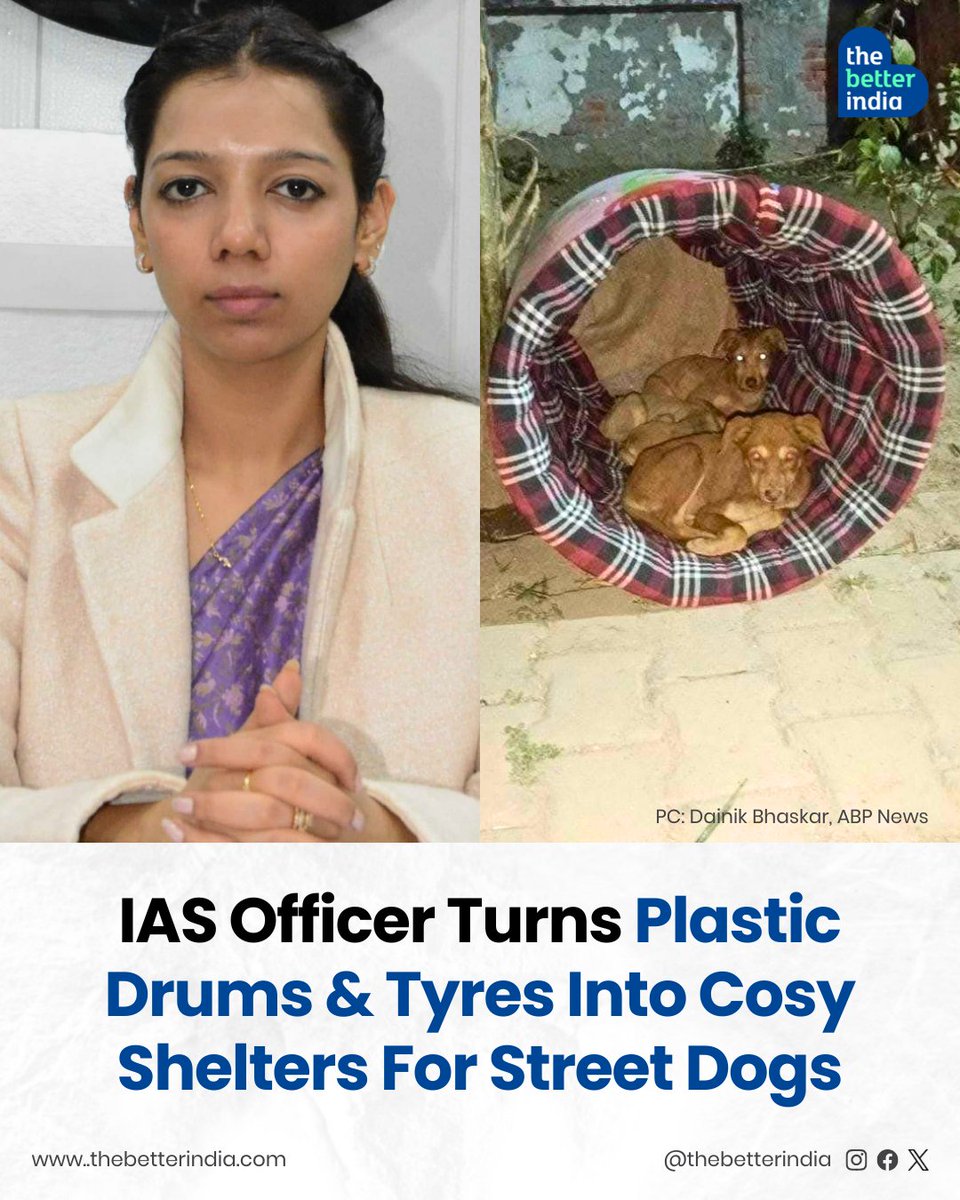 thebetterindia's tweet image. When the winter chill bites, the streets feel colder for those with no home. But in Baghpat, Uttar Pradesh, compassion took the lead. Asmita Lal, the District Magistrate, saw stray dogs shivering and decided to act.

Old tyres and plastic drums — things most would throw away —…