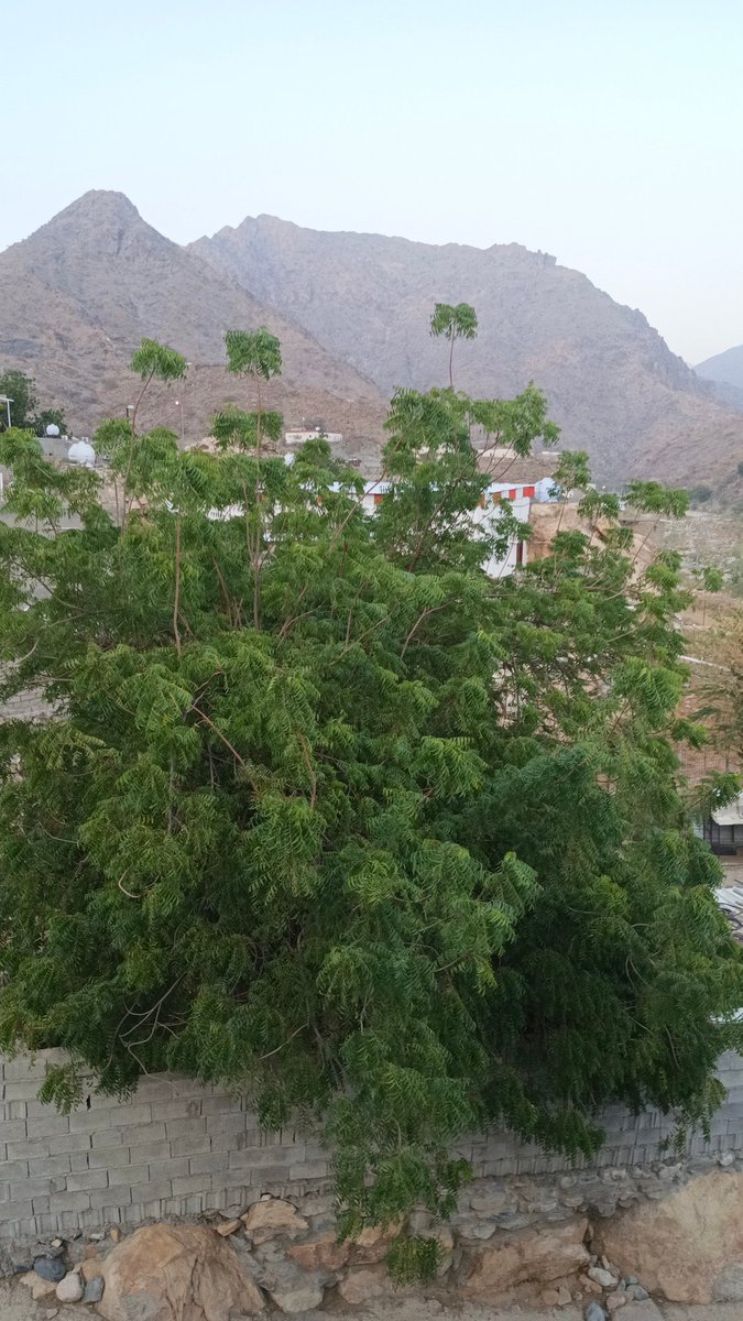 لا اله الا انت سبحانك اني كنت من الظالمين 
سبحان الله 
الحمدلله 
الله اكبر 
لا اله الا الله 
اللهم صل وسلم على نبينا محمد 🌹