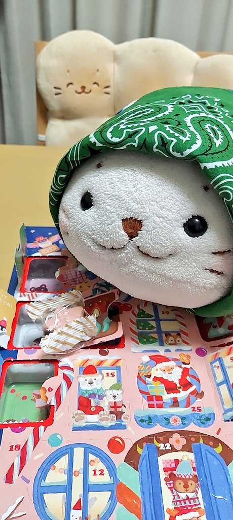 本日はストロベリー🍓チョコレート🍫きゅ(*´ω｀*)
 #しろたん