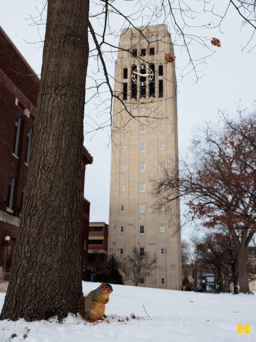 First day ➡️ Last day

How quickly time flies ⌛️ #GoBlue