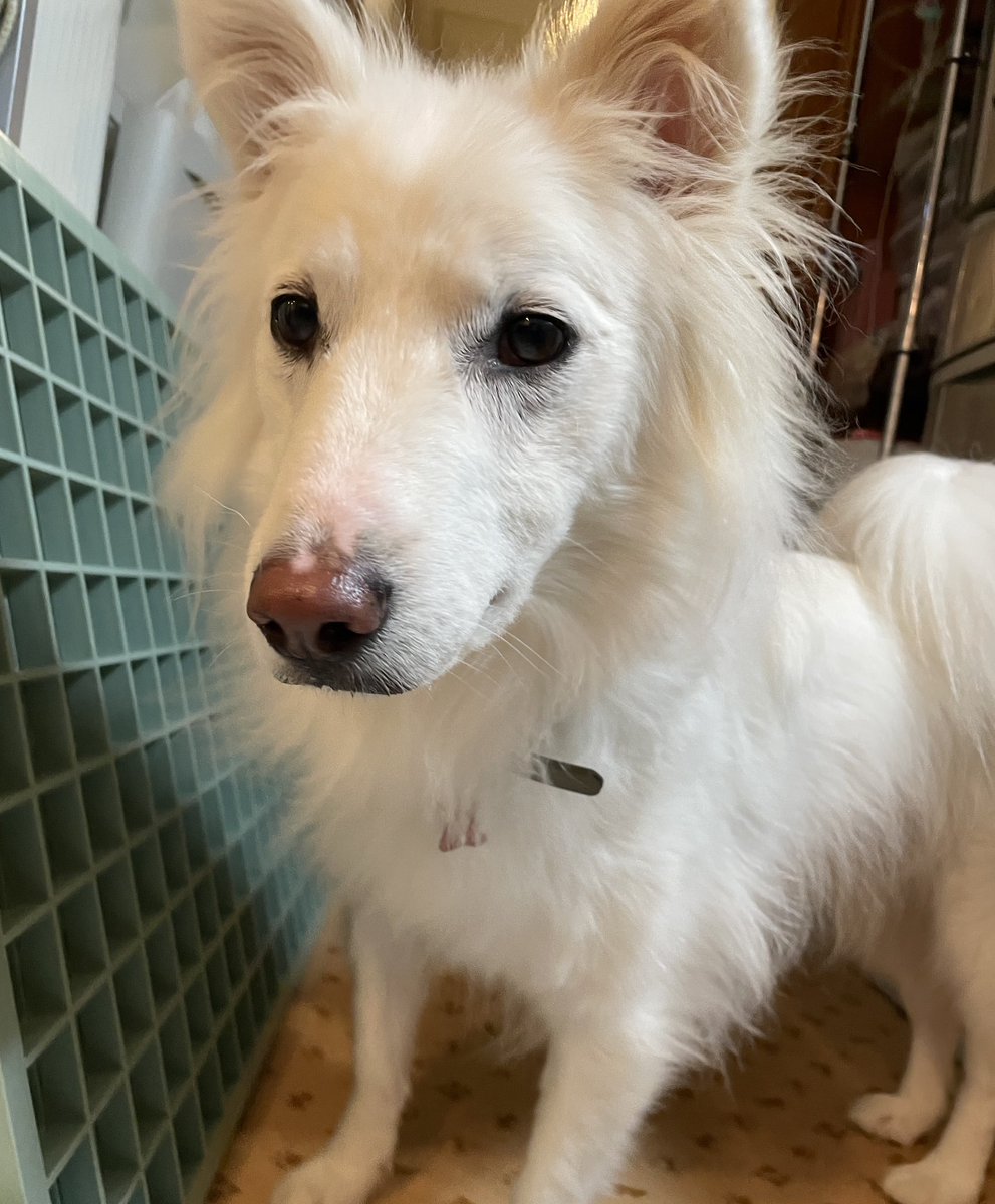 おねっさん (@LuckyStar111222) / Posts / X