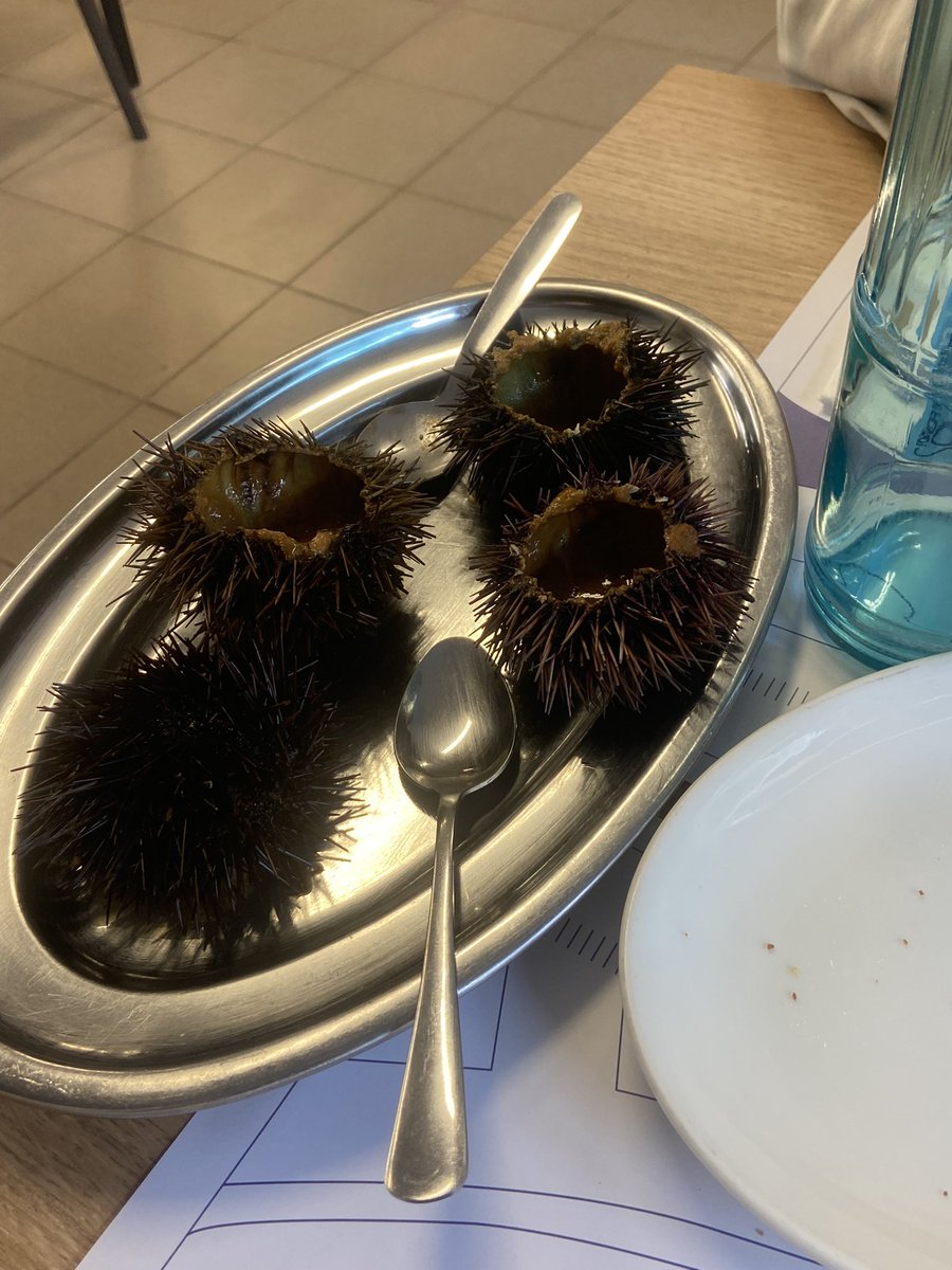 BADOSATORRES's tweet image. 🐟🌅🍃🦀🤍