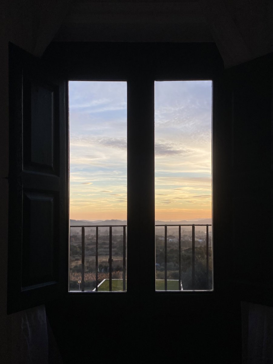 BADOSATORRES's tweet image. 🐟🌅🍃🦀🤍