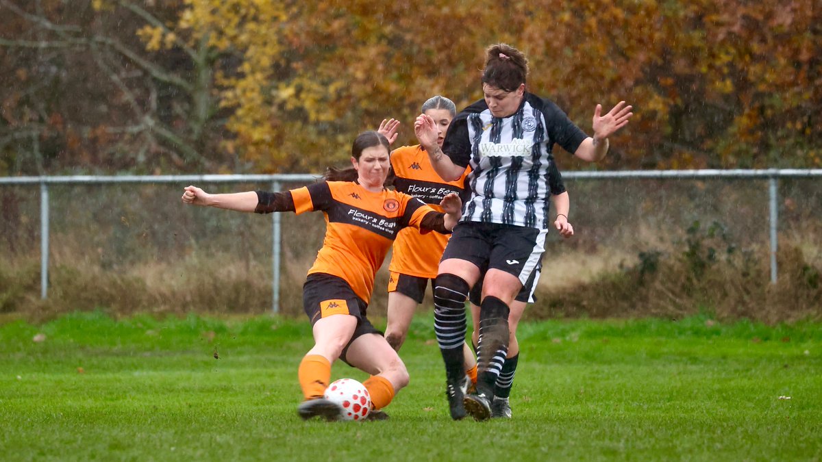 Hardy Scott Photo's tweet media