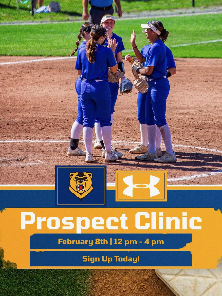 WNE Softball tweet media