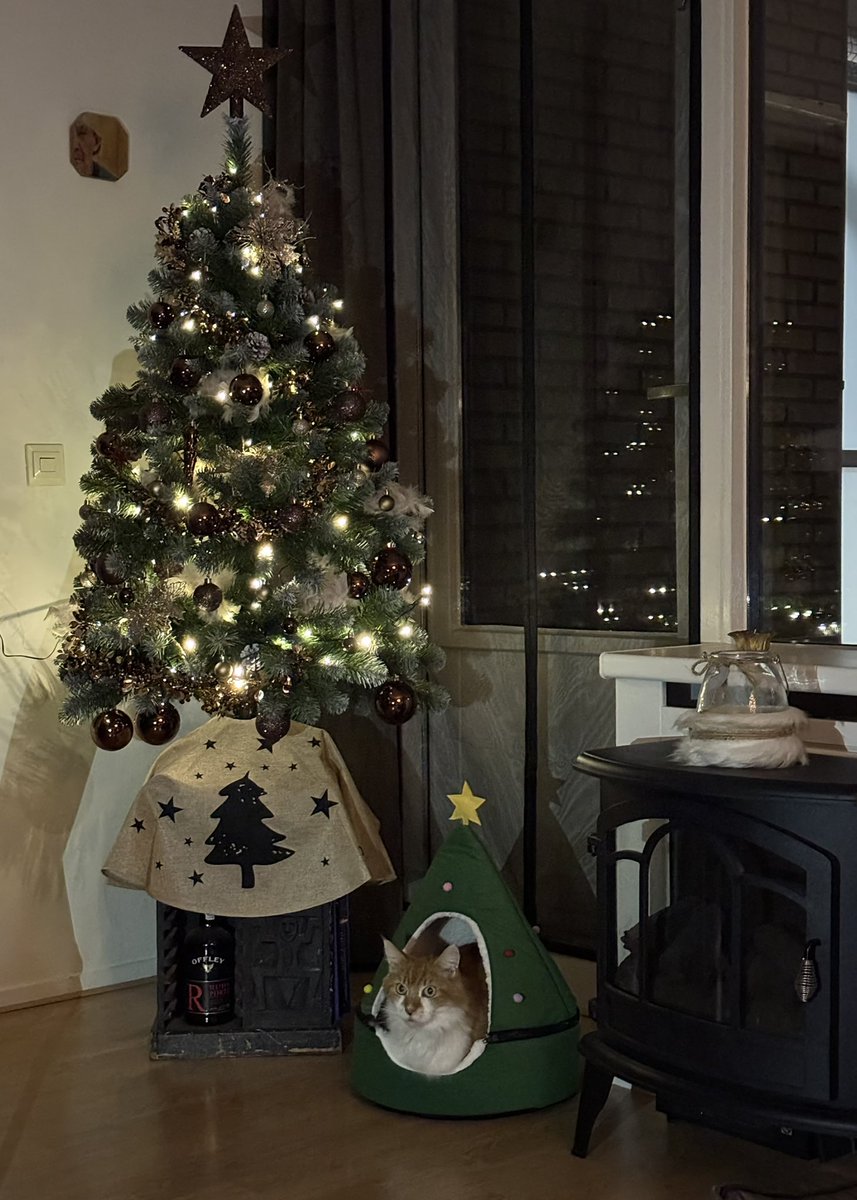 Kijk wat ik heb gekregen van de kerstmus!