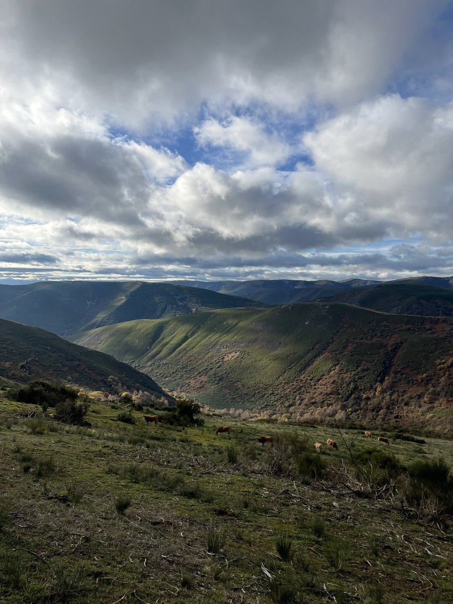 Hay gente que vió esto y marchó. 

Fue una obligación, una manera de dignificar su vida honradamente. 

Pero hay otra gente a la que echaron. Pisotearon su modo de vida y les señalaron. 

Para esa gente que vuelve. Belleza y memoria. El Bierzo es un país infinito.