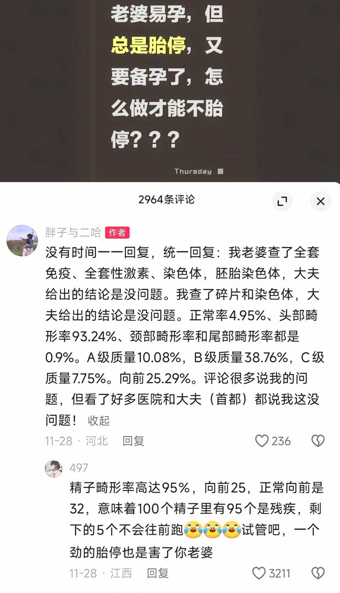 煎蛋棉被 tweet media