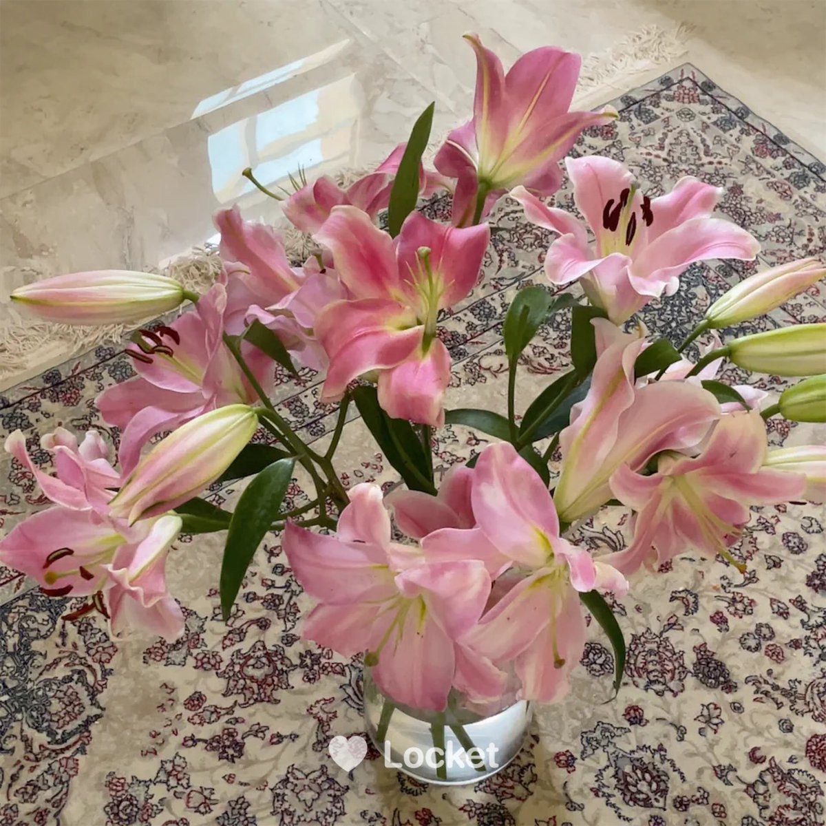 Aisha_A02's tweet photo. كأن الورد قبل لقاكِ غصنٌ
فيزهر حين تلمسه يديك *
@et_ern1 https://t.co/SQjHhKbyr4