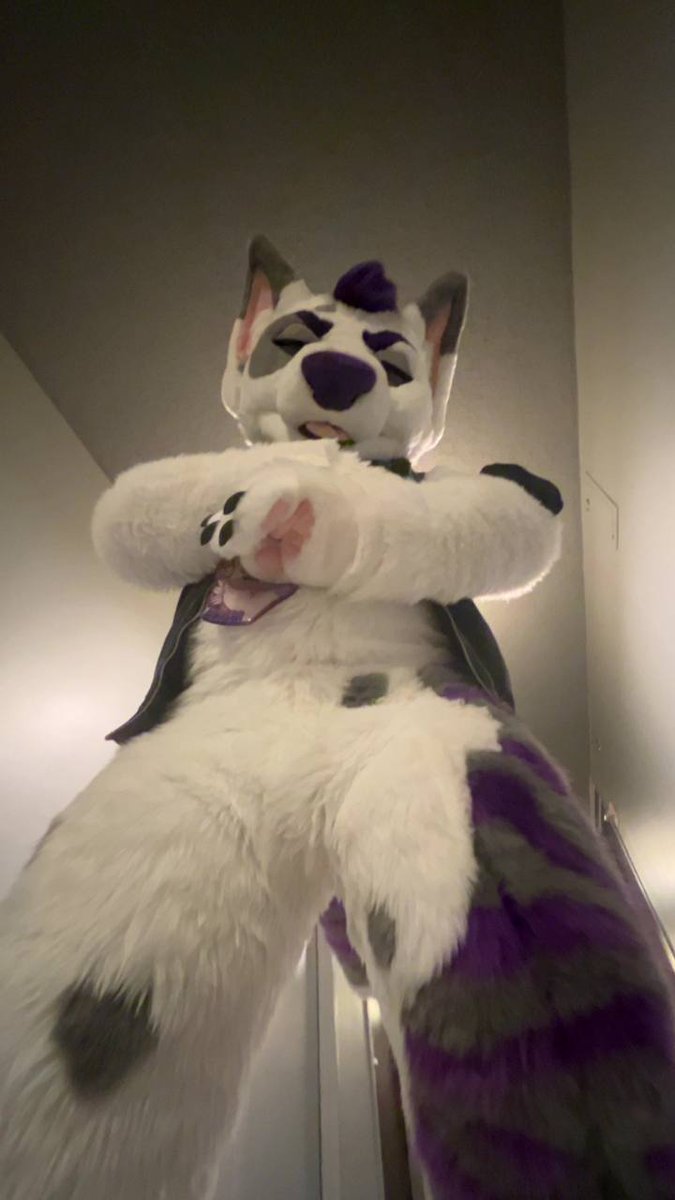 Leios 🔜 FWA tweet media