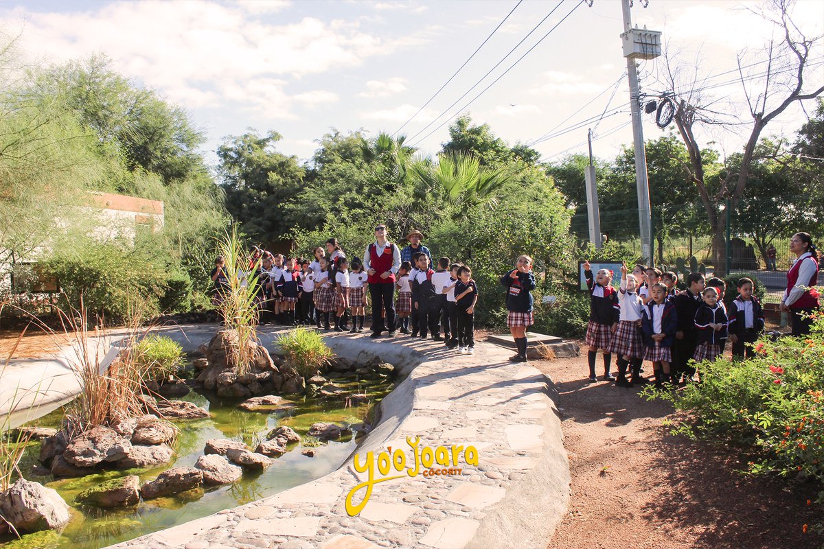 ¡Gracias al Instituto Nainari por su visita!
#Cócorit #Cultura #Mariposario