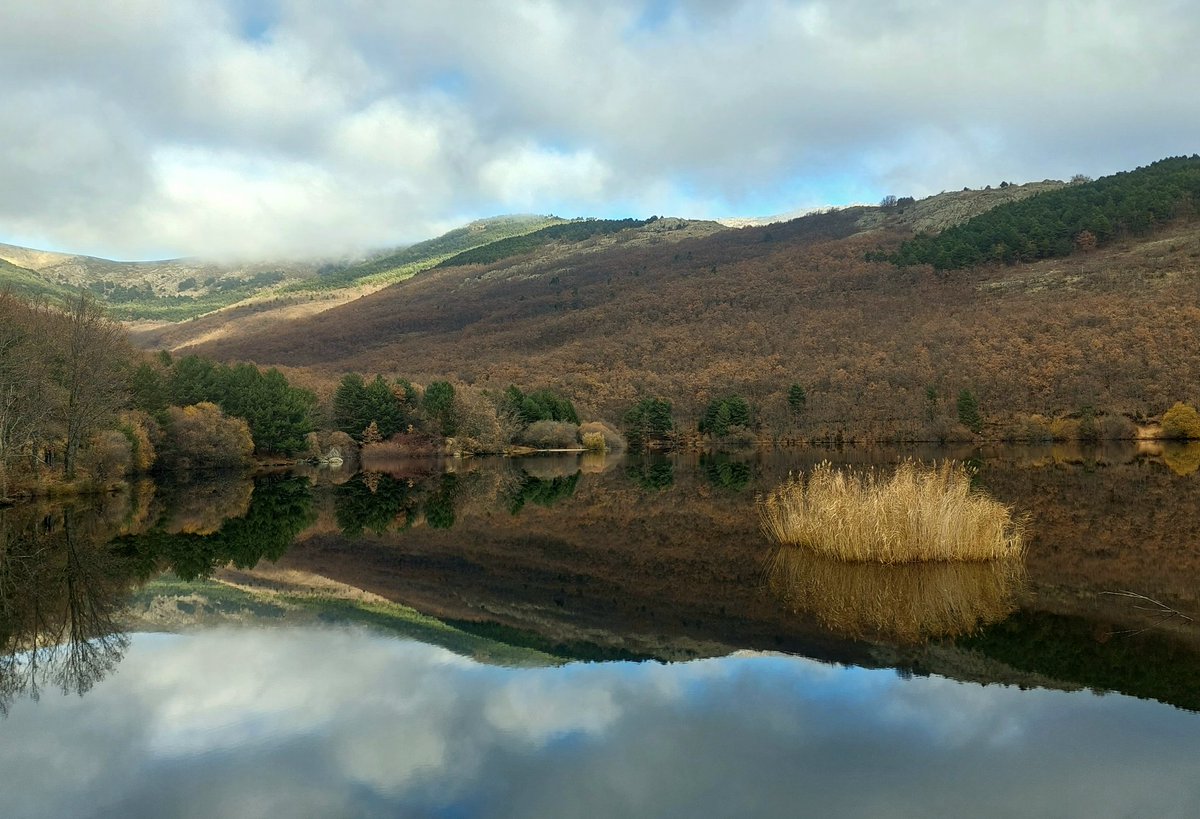 ❄️❄️🍂🍂