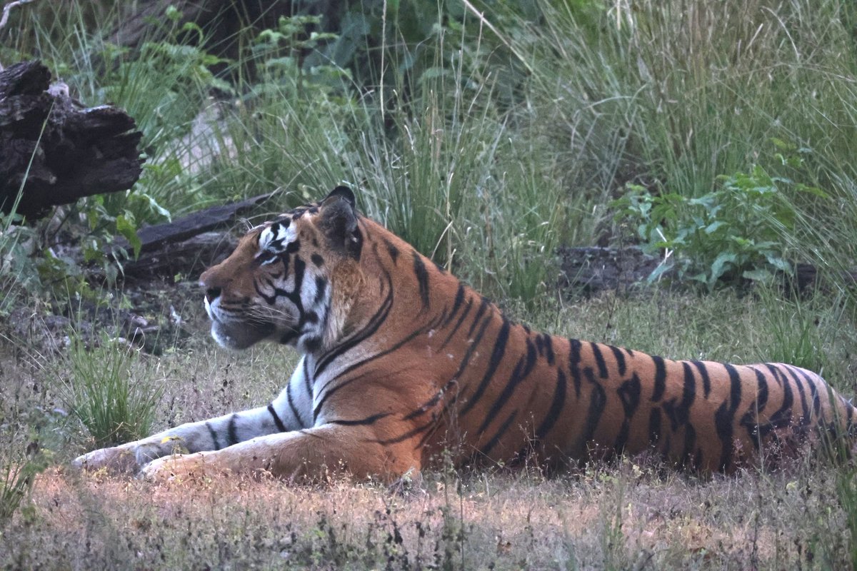 Richie Gannon tweet media