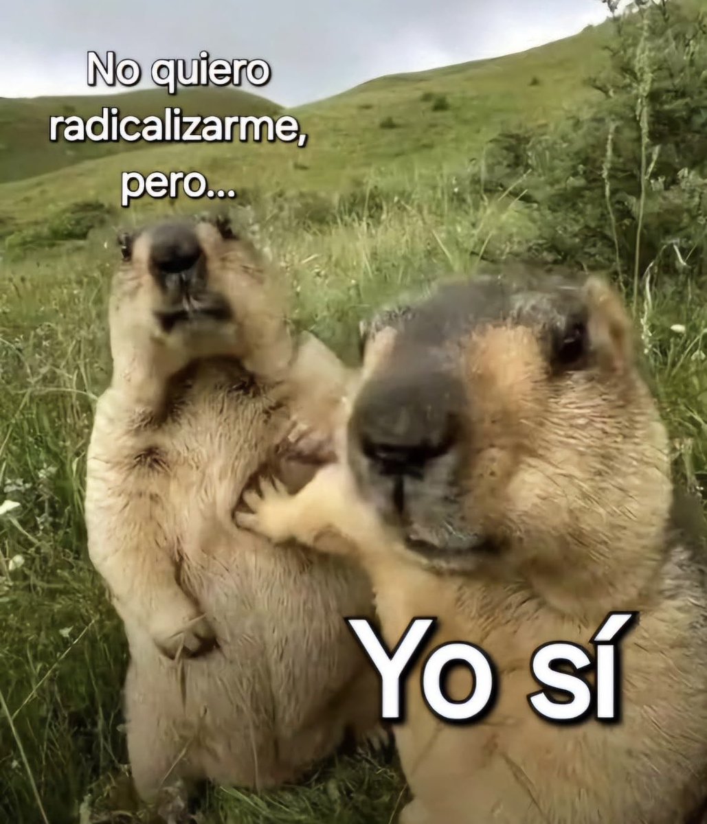 Beatriz Rico (@bearicoactriz) on Twitter photo 