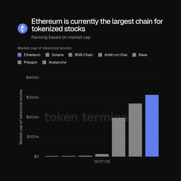 블록체인별 토큰화된 주식 시가총액 분해도