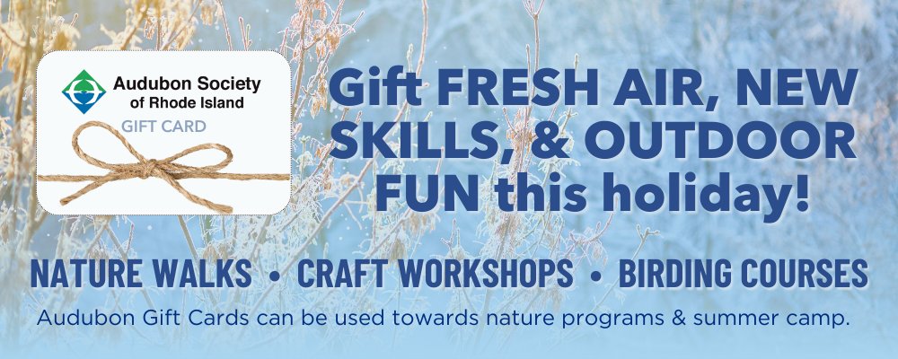 Sprout CoWorking tweet media