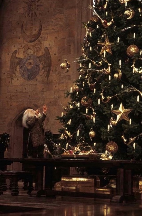 Daily Harry Potter tweet media