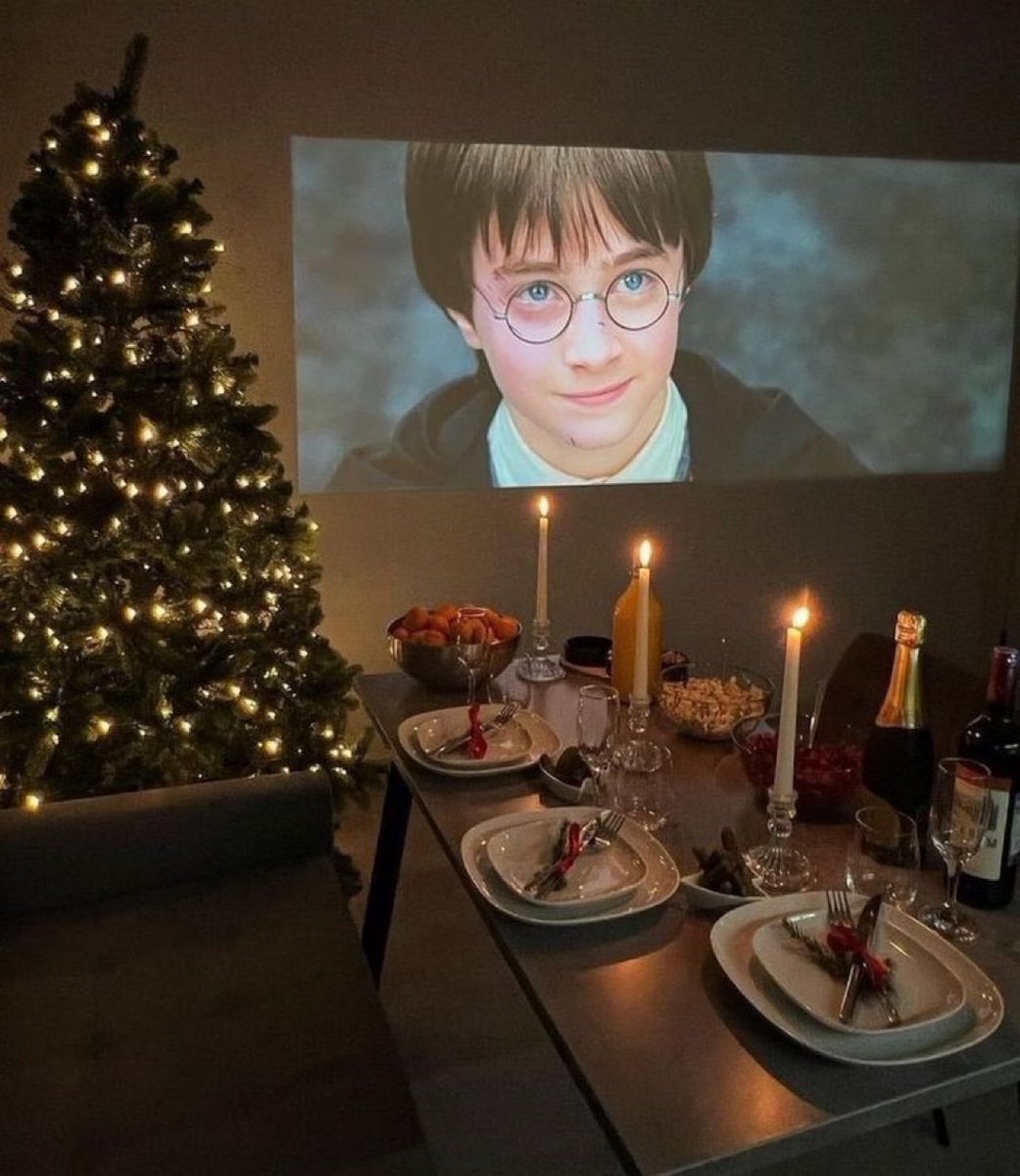 TheDailyHPotter's tweet image. The perfect plan for Christmas 🎄