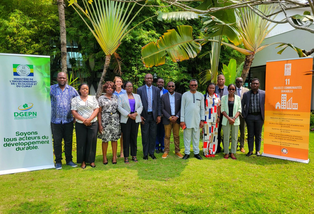 PNUD GABON tweet media