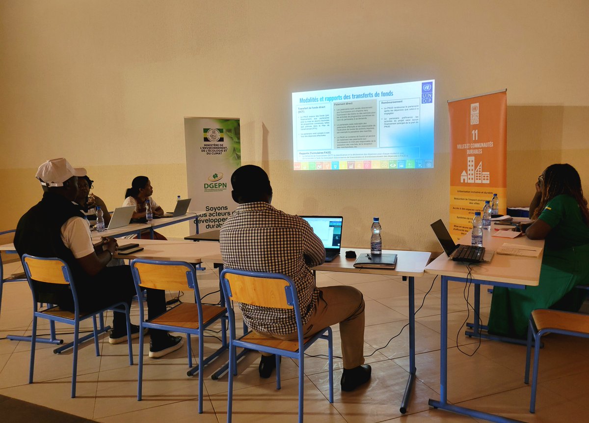 PNUD GABON tweet media