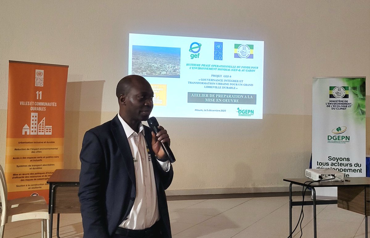 PNUD GABON tweet media