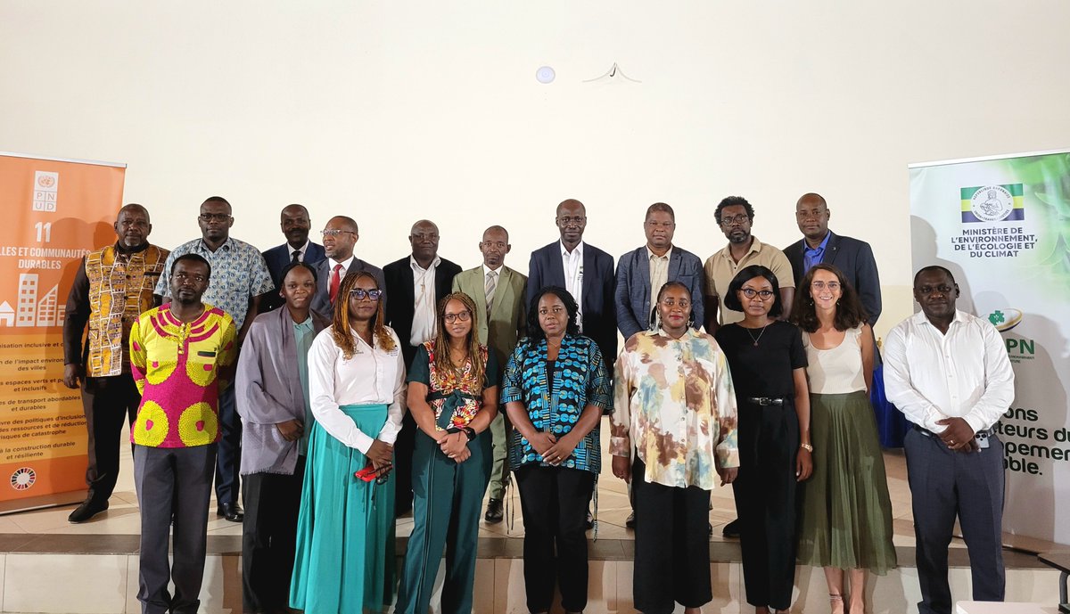 PNUD GABON tweet media