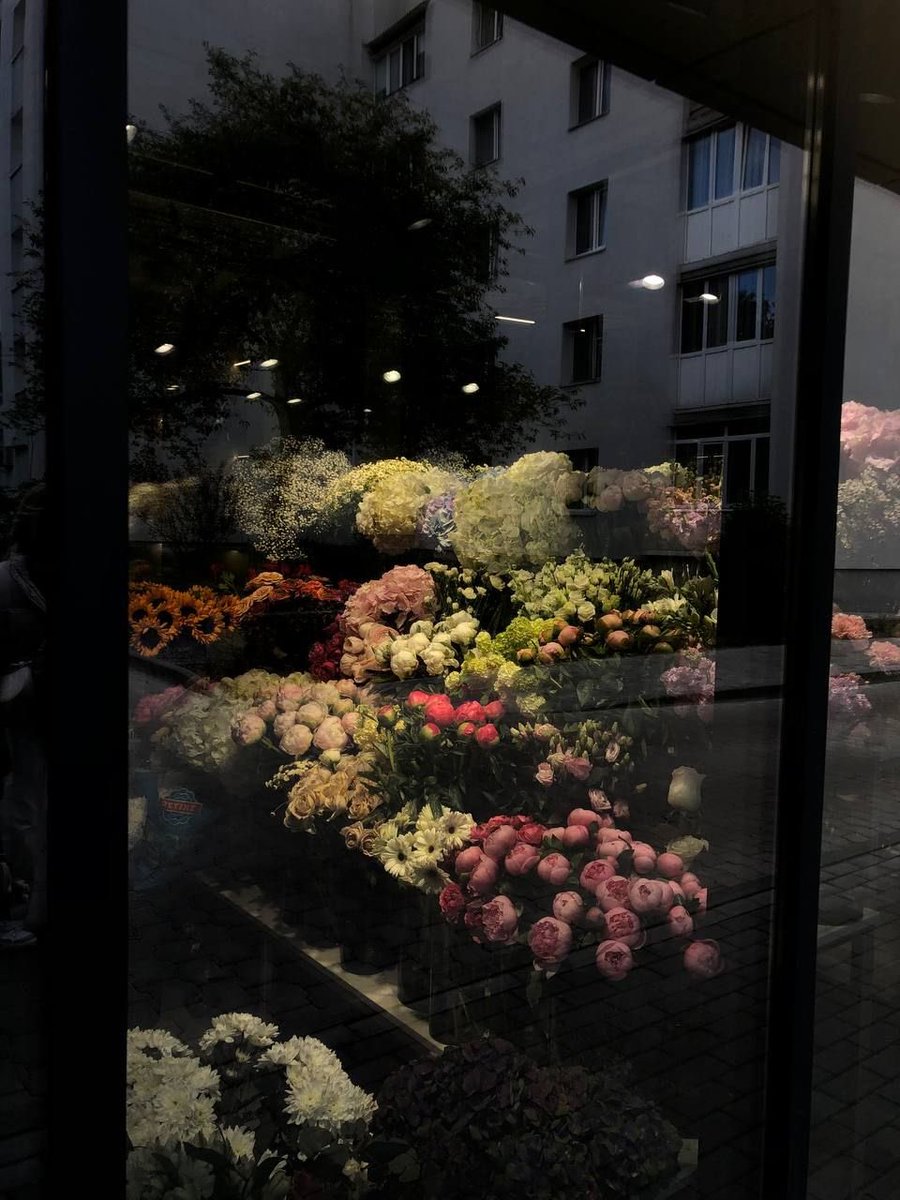 1leio's tweet image. 