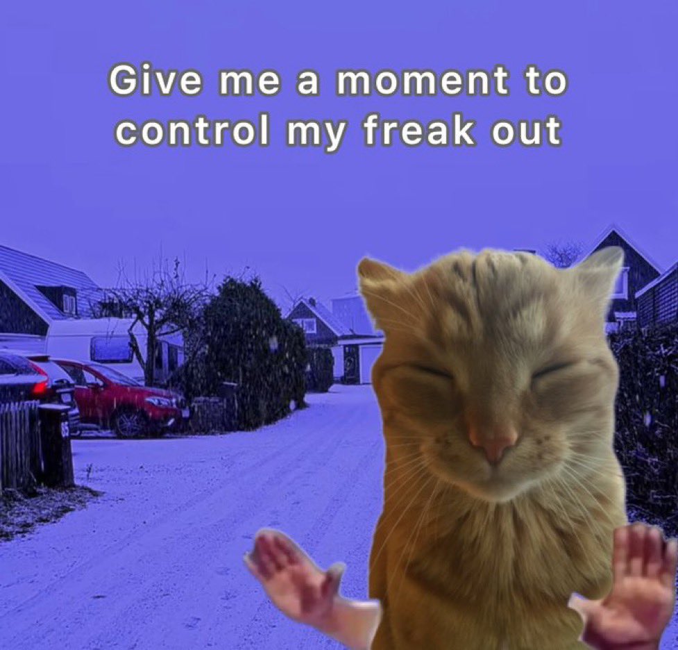 gakstercat's tweet image. 