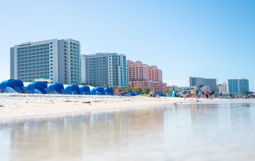 Travelweek tweet media