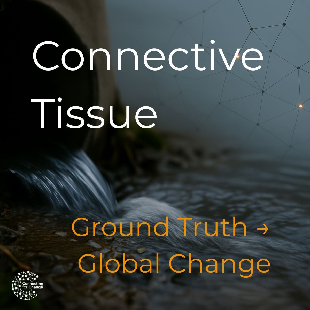 Connecting for Change LLC tweet media