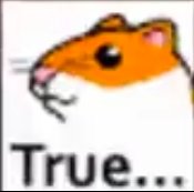 pizza is like the citizen kane of cheese and tomatoes