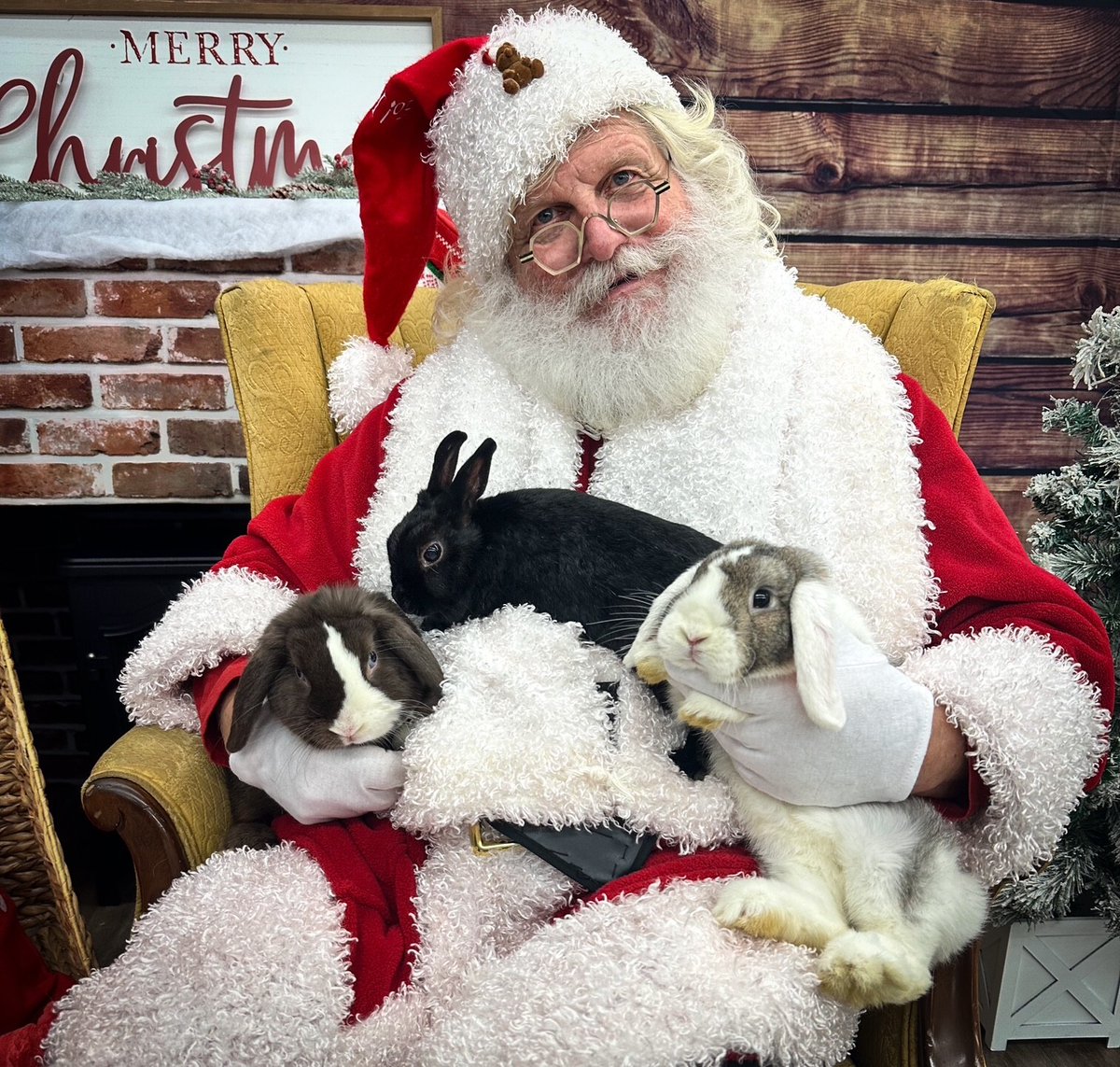 psp9024's tweet photo. 🎅Photos with SANTA at PSP in Albany!! Saturday, December 13th from 2-4pm, bring your pets 🐶😺🐇 in for a photo with Santa! All proceeds will benefit local animals in need. $10 donation for a digital photo and $15 for a digital and printed copy. #Santa #Christmas https://t.co/pSrFWKd3h8