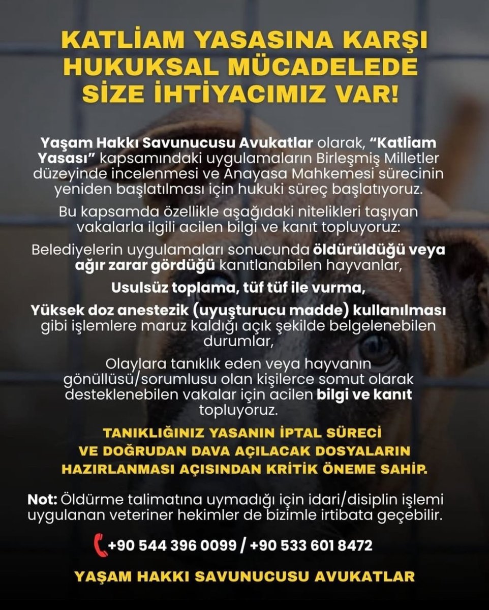 ÇOK ÇOK ÖNEMLİ LÜTFEN YÜZBİNLER GÖRSÜN.
⚠️⚠️⚠️⚠️⚠️⚠️⚠️⚠️
#SokakHayvanlarıSahipsizDeğil 
#ZulmeOrtakOlmayacağız