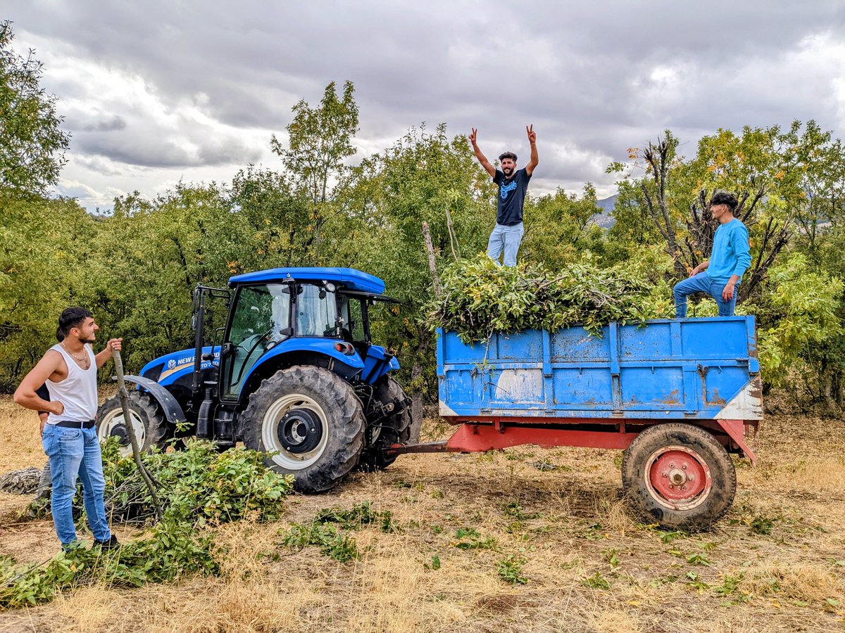 @maebichka 32. Regresé a Tunceli, hice algunas caminatas, vi las cabeceras sagradas del Munzur en Ovacık, ayudé a los jó